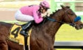 Vancouver owner’s horse to run in Preakness Vancouver owner’s horse to run in Preakness
